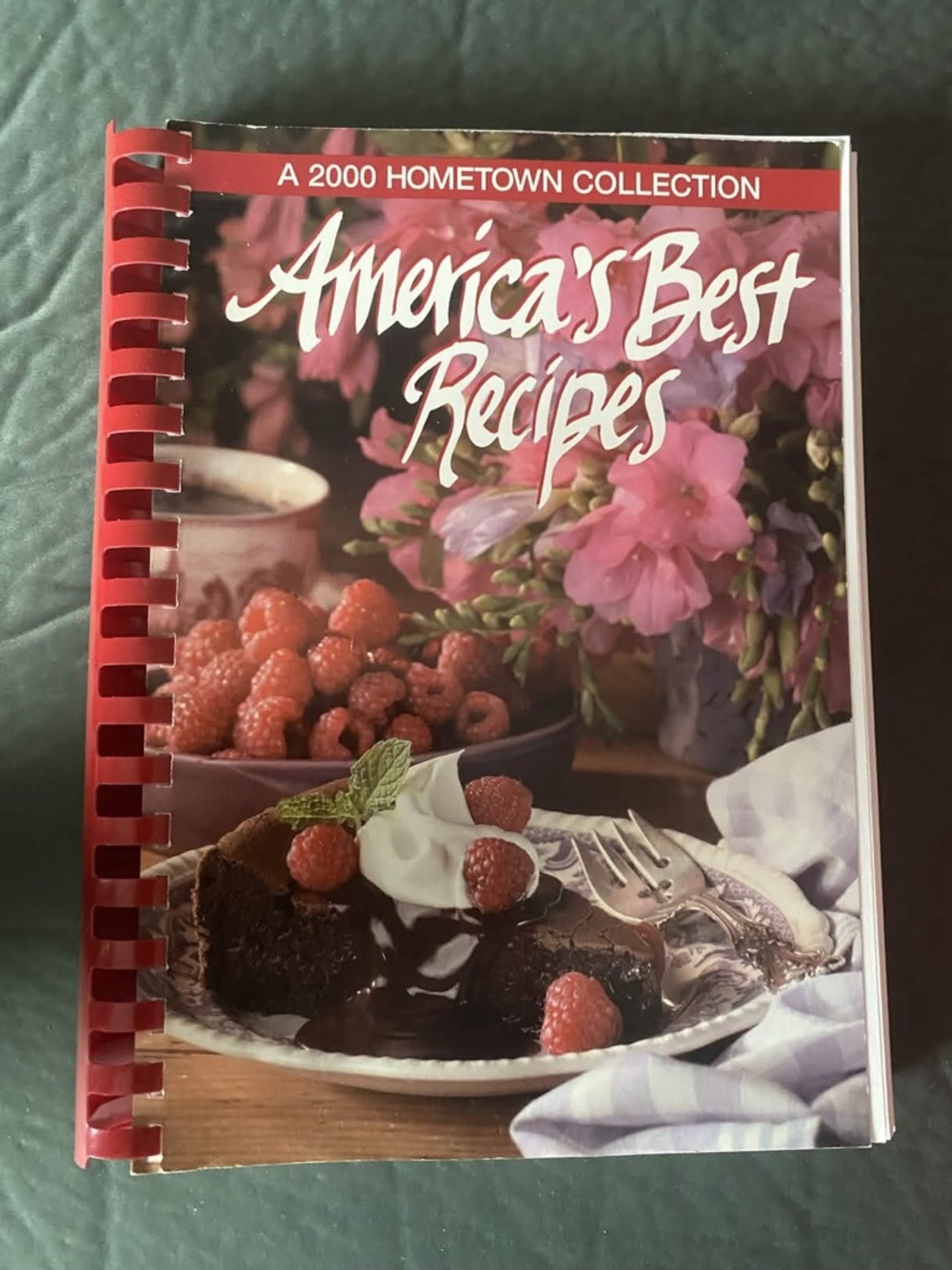 Ancient Remedies Press The Natural Healing Handbook - Red Spiral Notebook